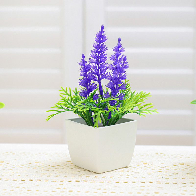 Las pequeñas plantas en maceta - Baby Bookshelf Small reseña y precio