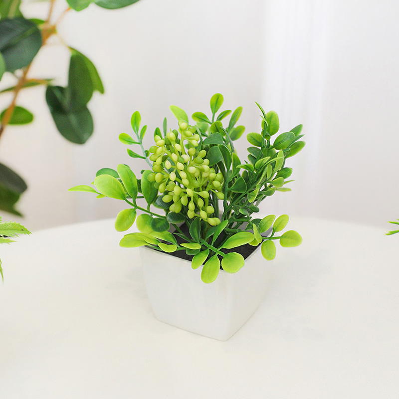 Las pequeñas plantas en maceta - Baby Bookshelf Small reseña y precio