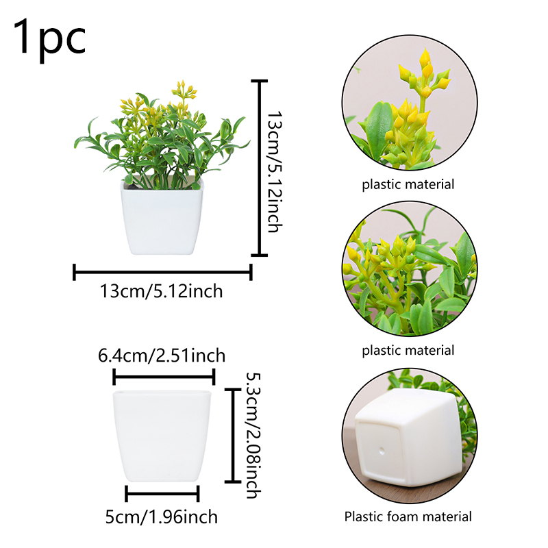 Las pequeñas plantas en maceta - Baby Bookshelf Small reseña y precio