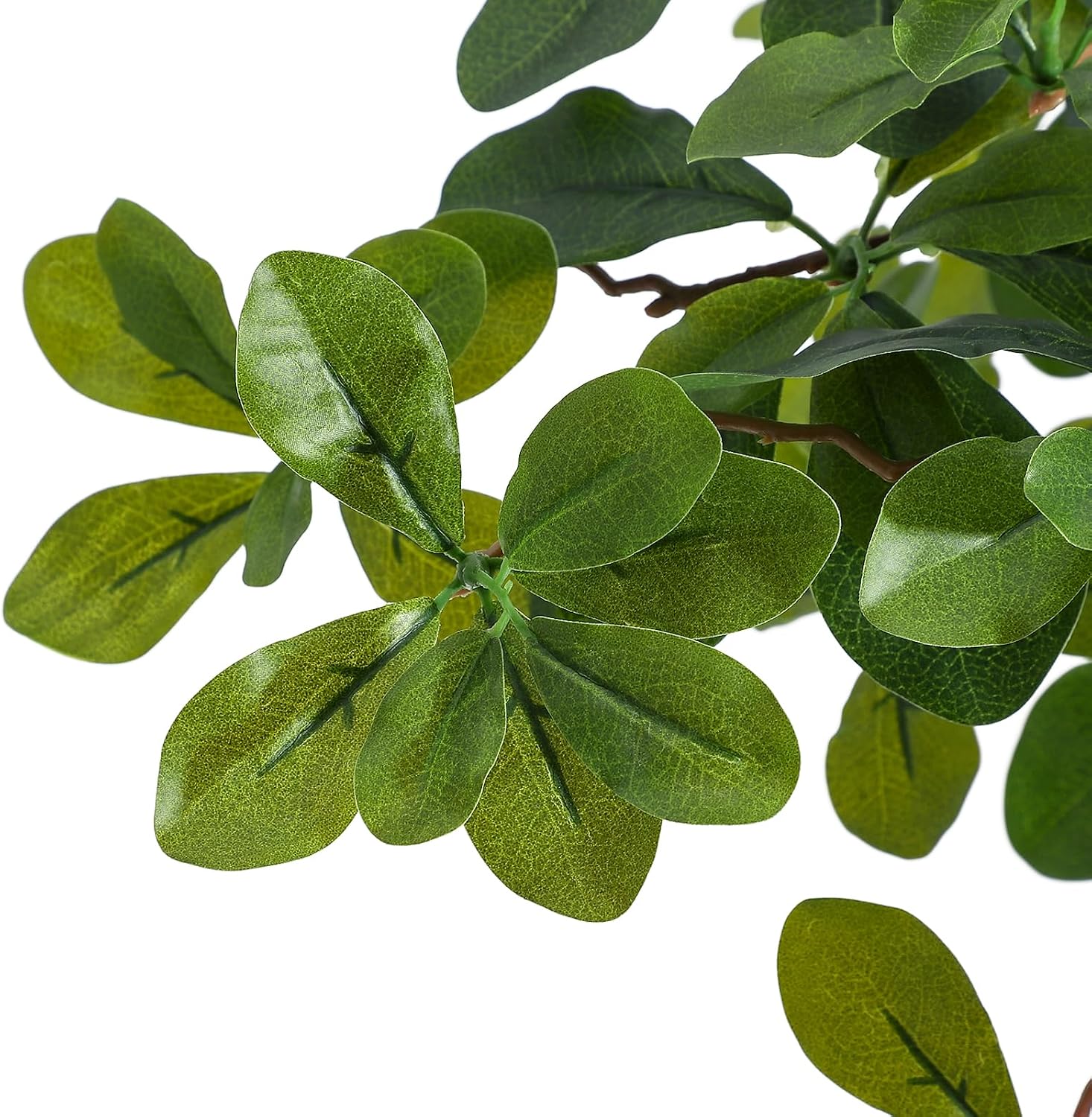 Plantas Artificiales de Interi - Baby Nursery Home reseña y precio